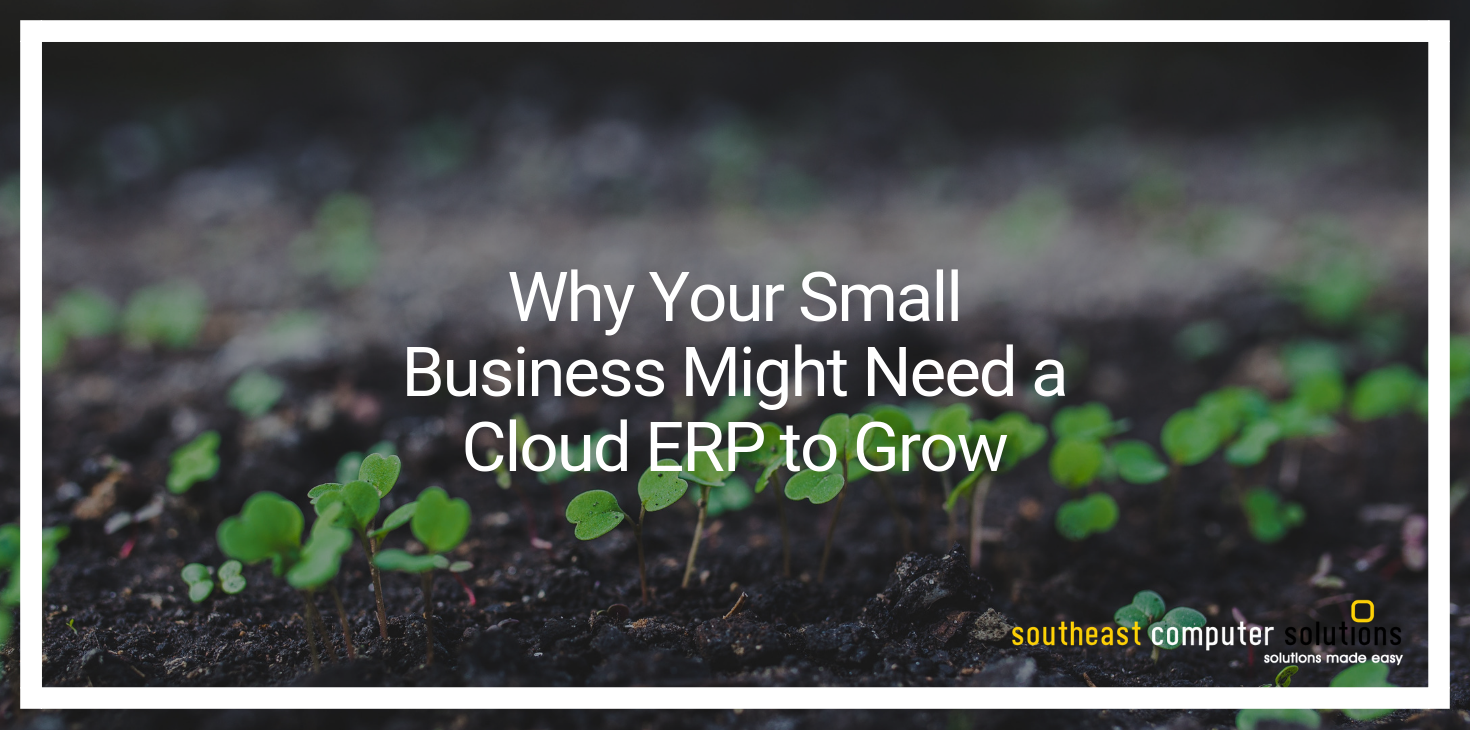 Why Your Small Business Might Need a Cloud ERP to Grow