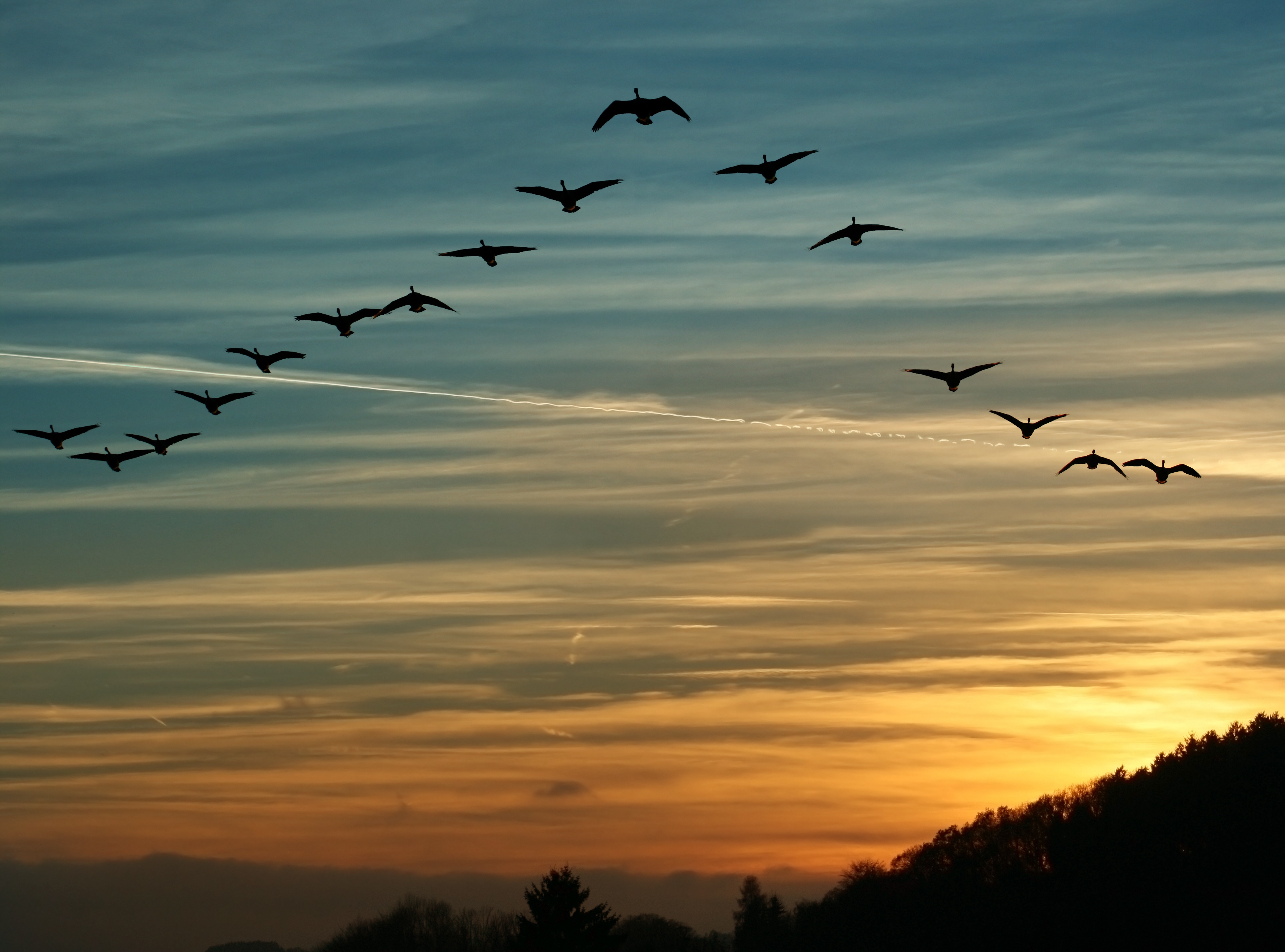 5 Steps for a Smooth Migration to Sage X3